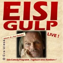 Eisi Gulp - Tagebuch eines Komikers