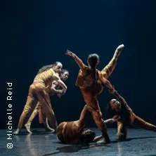 Tanzfestival: FLOCK-Film