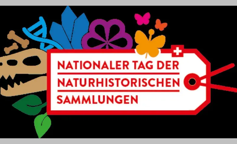 Türe auf! Blick in die Museumssammlung